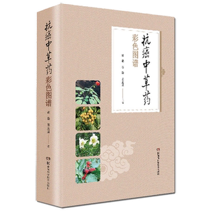 正版精装 抗癌中草药彩色图谱 中药抗癌药图谱实用抗肿瘤本草图谱与验方古今治癌偏方抗癌中草药大辞典中医书籍