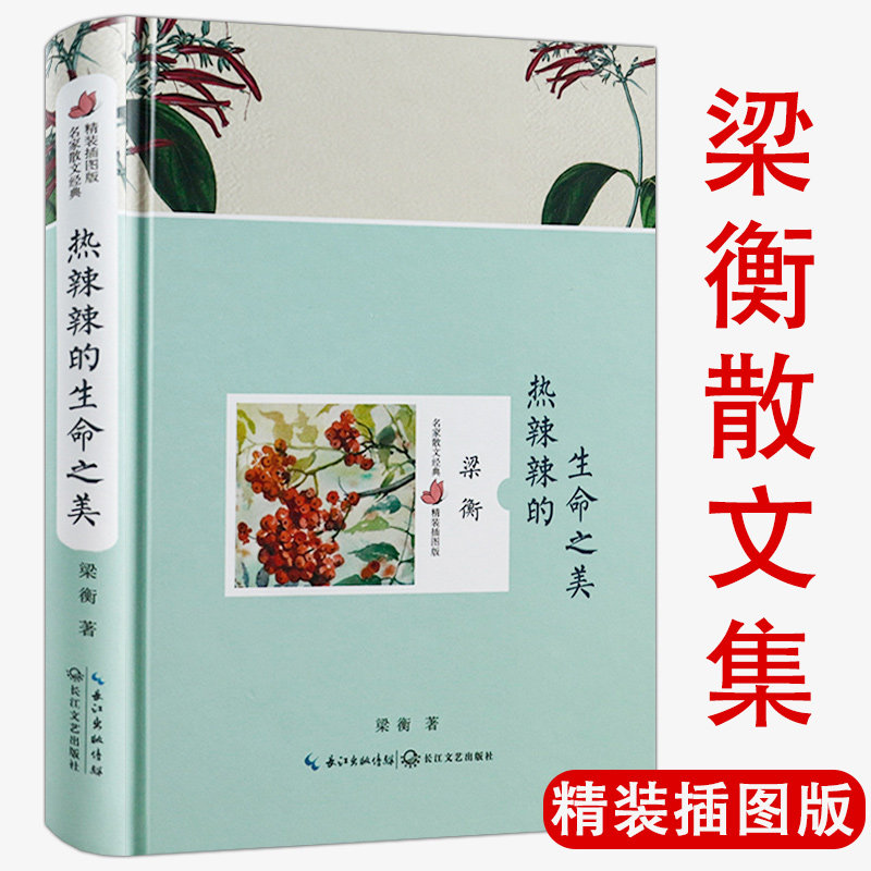 生命之美梁衡文集精装插图版代表作有千秋人物我的阅读与写作觅渡觅渡