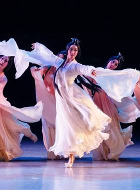 出租洛水佼人古典舞蹈表演服装广袖水袖大裙摆汉服演出服装定制女