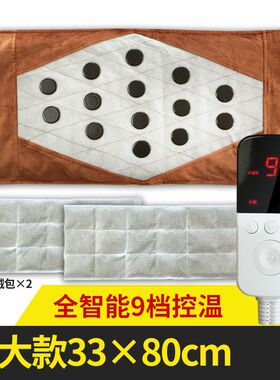 圣园堂大款海盐粗盐热敷包艾草家用电加热肩腰部艾灸加长理疗袋电