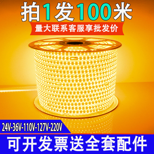 LED灯带220v家装户外防水硅胶带背胶贴自粘亮化装饰24v线型灯条