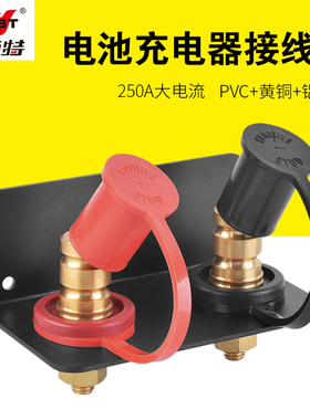 耐施特汽车电瓶桩头250A大电流黄铜接线柱蓄电池接线柱电瓶桩头