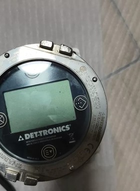 议价Det-tronics气体探头变送器