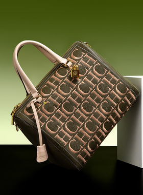 火凤凰-2025欧美跨境夏季新款手提包感轻奢小方包女士单肩