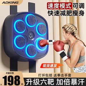训练器材墙靶ADKING音乐拳击机