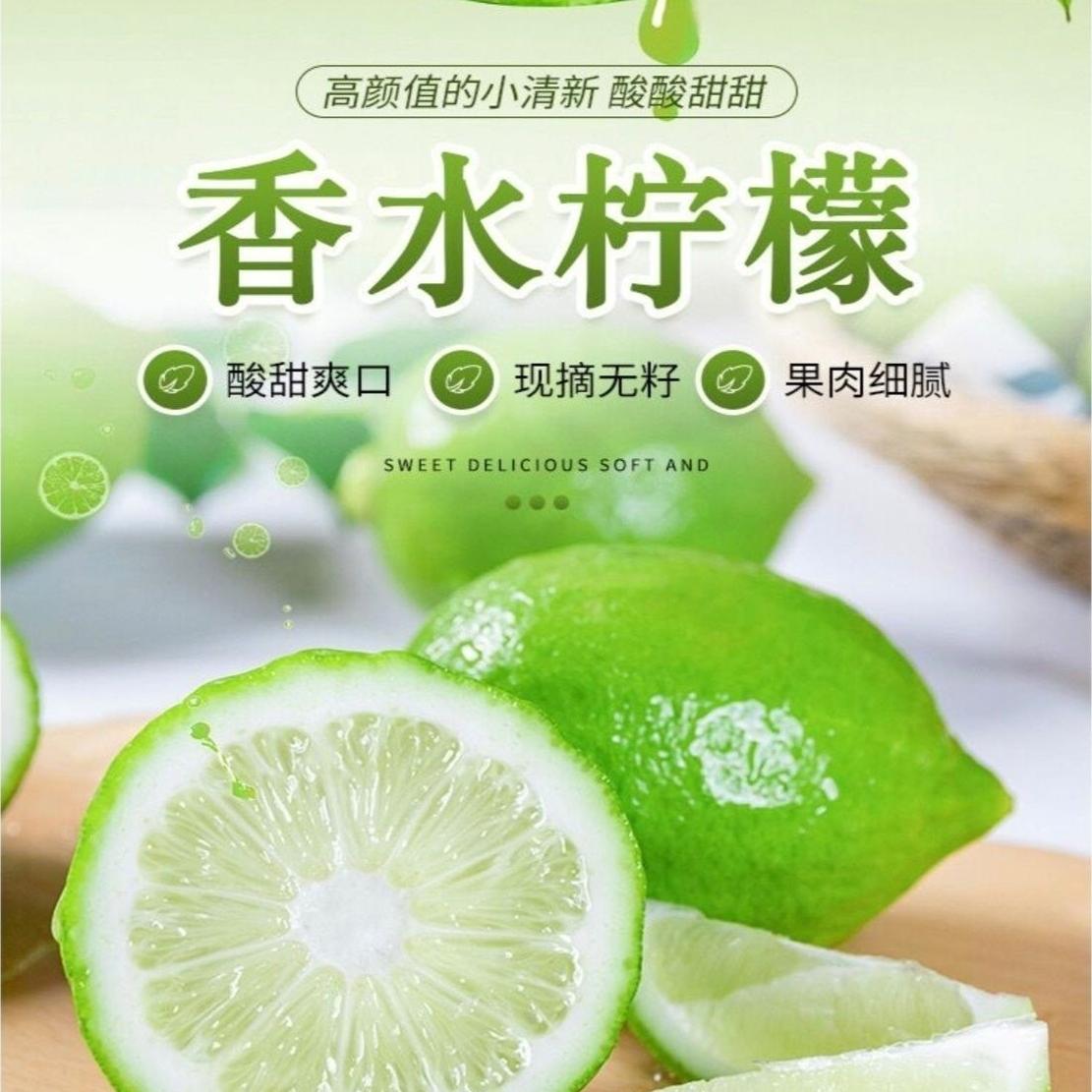 广东特产香水柠檬奶茶咖啡餐饮泡茶原料无籽柠檬新鲜采摘手打柠檬
