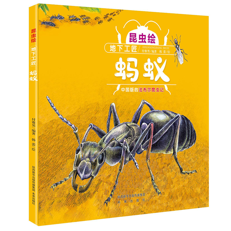 昆虫绘  地下工匠——蚂蚁     法布尔昆虫记改编的精细手绘本