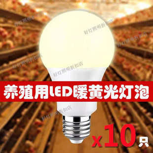 养殖场用LED暖黄光灯泡无频闪3W5W7W9W10W12W15W养鸡场黄光补光灯