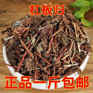 杠板归中药材蛇倒退草现挖河白草刺头犁老虎利猫爪刺蛇牙草止痒