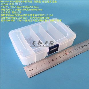western blot抗体孵育盒 wb抗体孵育5格 中号