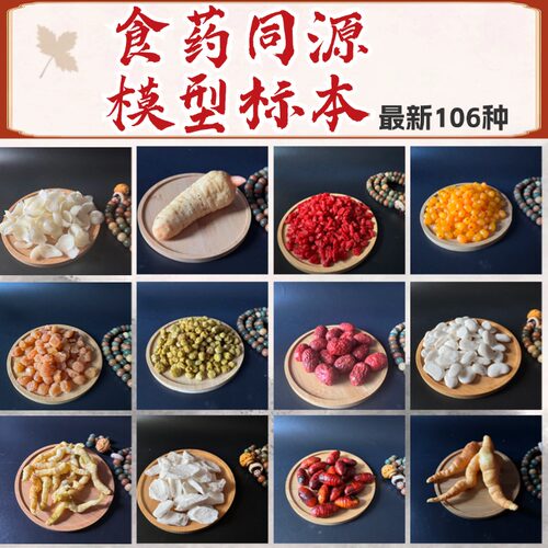 仿真食药同源展示道具