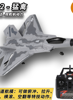 特技F22四通道遥控飞机航模型玩具成人比赛专用泡沫固定翼滑翔机