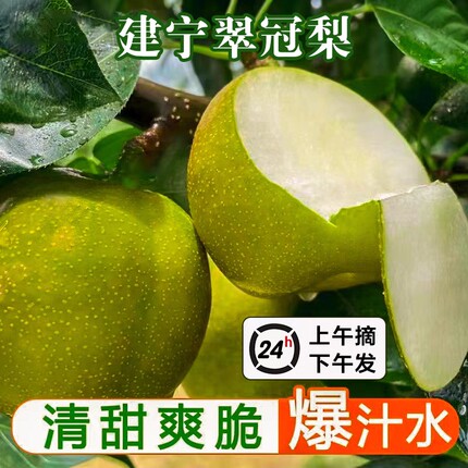 建宁新鲜水果翠冠梨脆甜多汁细腻无渣非黄花梨皇冠梨5/10斤礼盒装
