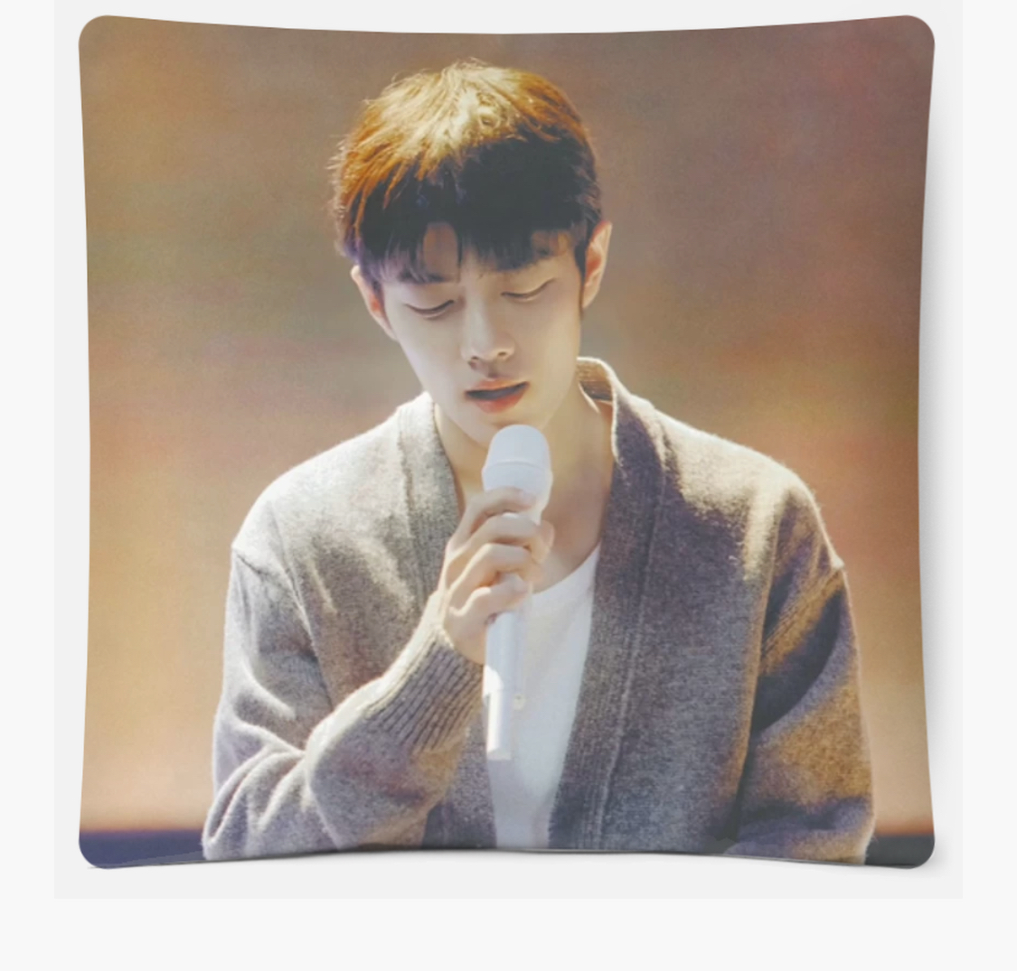 爱豆diy迷你个性抱枕双面定制照片卧室枕头宿舍办公室靠枕