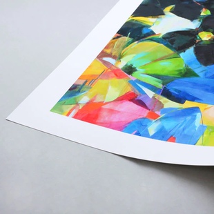 美国高格滑面绘画纸版画纸凝胶版画明胶版画纸丙烯纸DomtarCougar