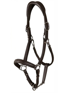 DYON全皮马笼头.比利时进口 帕兰丁马具