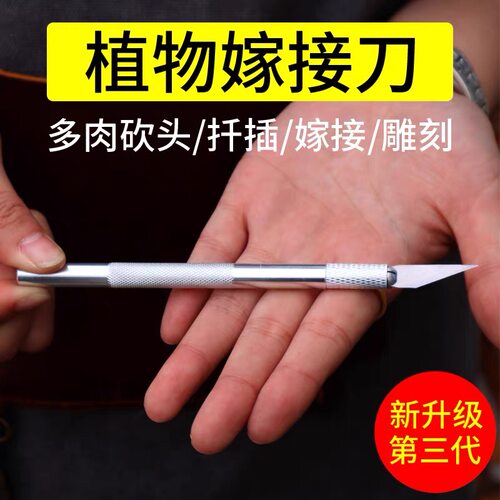 月季嫁接苗木工具多肉修剪砍头刀