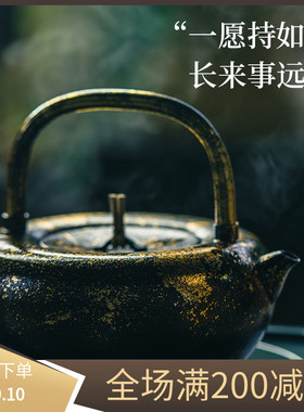 博友制钛如意钛提梁壶岩黑款烧水壶户外露营野营茶壶野外煮水壶