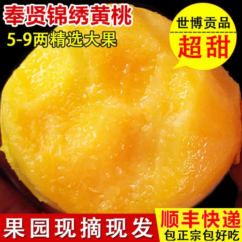 光明锦绣黄桃奉贤香甜多汁现摘