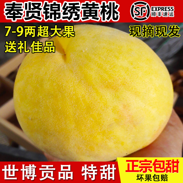 光明锦绣黄桃上海奉贤甘甜多汁