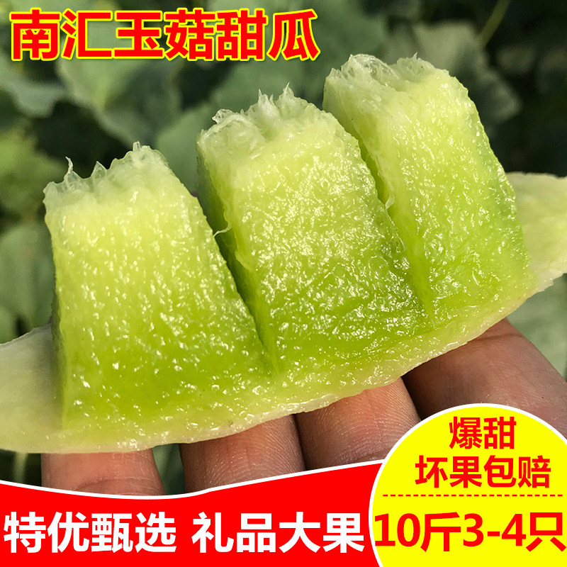 正宗南汇玉菇甜瓜10斤大果现摘新鲜水果应季时令玉茹香瓜蜜瓜包邮