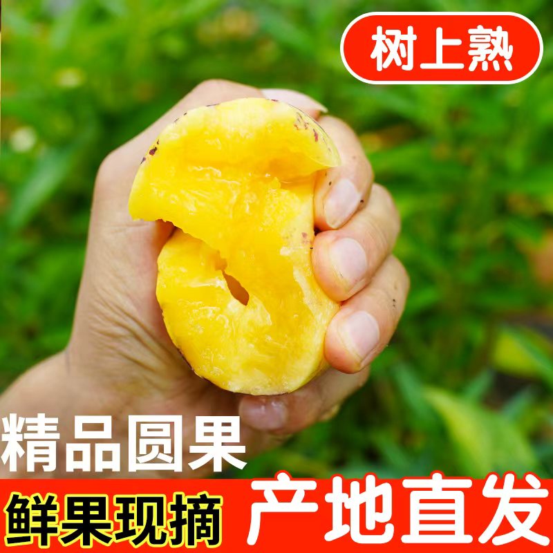 云南石林树熟人参果黄果黄肉自然熟现摘发货果面未清洗