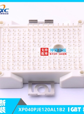 全新原装现货 XP040PJE120AL1B2 功率 IGBT模块 一系列电子元器件