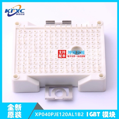 全新原装现货 XP040PJE120AL1B2 功率 IGBT模块 一系列电子元器件