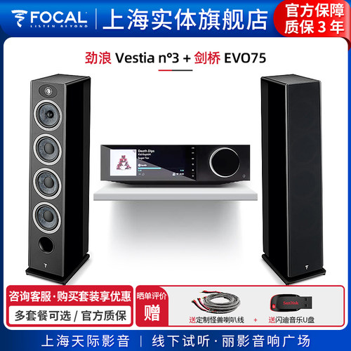 劲浪Focal发烧HIFI落地音箱套装