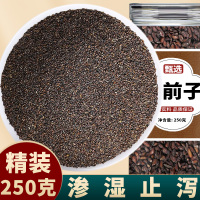 車前子中藥材飲片正品車前草籽車前子茶車前籽非特級野生泡水泡茶