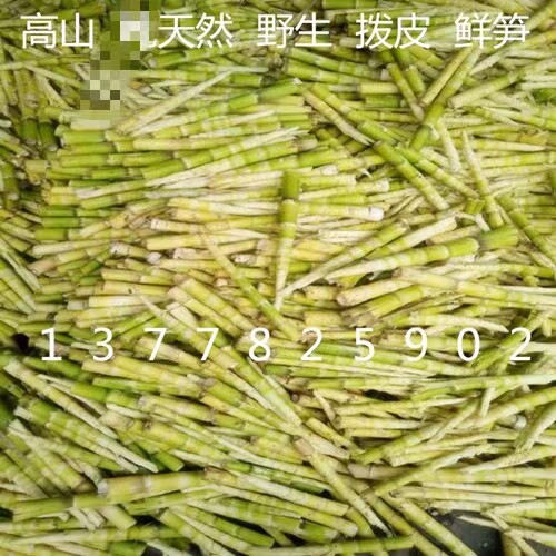 四川高山野生白家笋干笋自然晒干农家自制笋尖250g包邮
