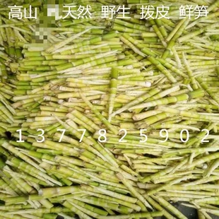四川高山野生白家笋干笋自然晒干农家自制笋尖250g包邮