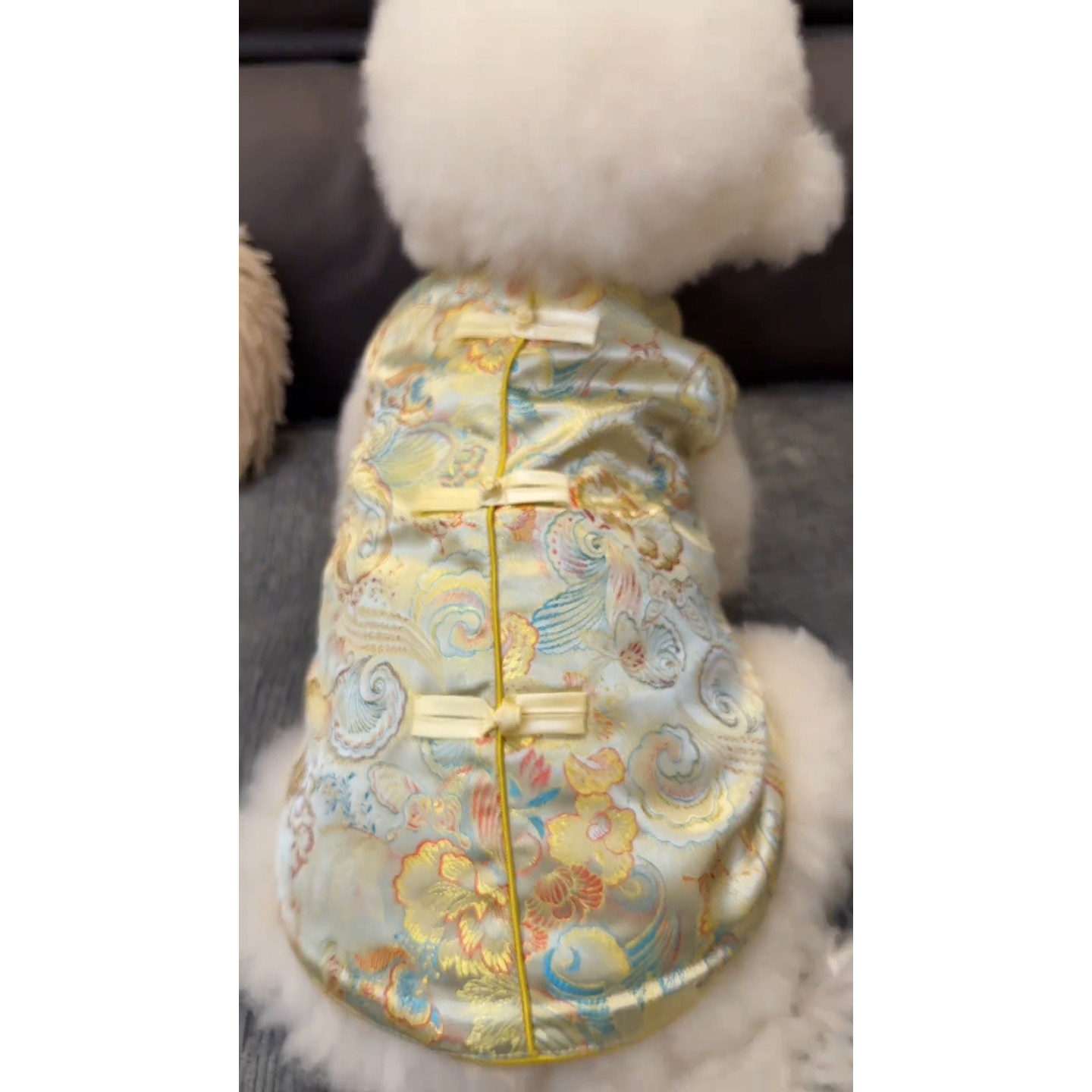 小狗狗网红秋冬装宠物衣服中式背心比熊泰迪约克夏贵宾猫咪唐装
