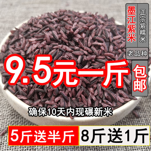云南本土紫糯米墨江紫米新米高原 农家粗粮黑糯米血糯米500克包邮