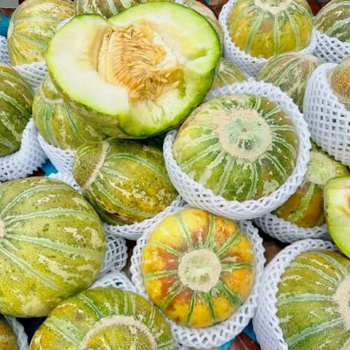 当季新疆喀什老汉瓜老品种 水多纯甜软糯 8-9斤2个装顺丰空运包邮