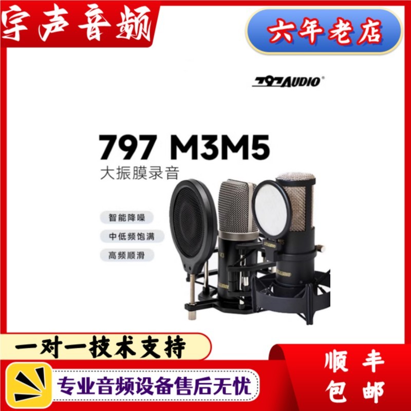 797Audio M3 M5专业大振膜电容麦克风录音棚录音声书主播k歌专用 影音电器 麦克风/话筒 原图主图