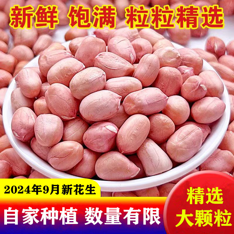 2024年新鲜大白沙花生米新货农家自种大颗粒花生仁特级去壳生花生