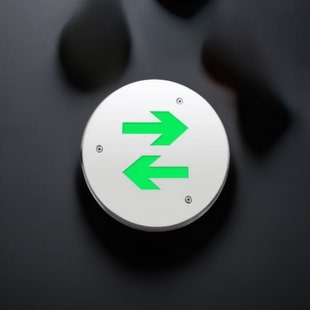 东君智能集中供电 地面疏散指示灯不锈钢圆形地埋灯DJ-01N