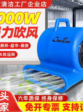 超宝吹干机CB-900B商用大功率强力鼓风吹风机地面板酒店地毯厕所