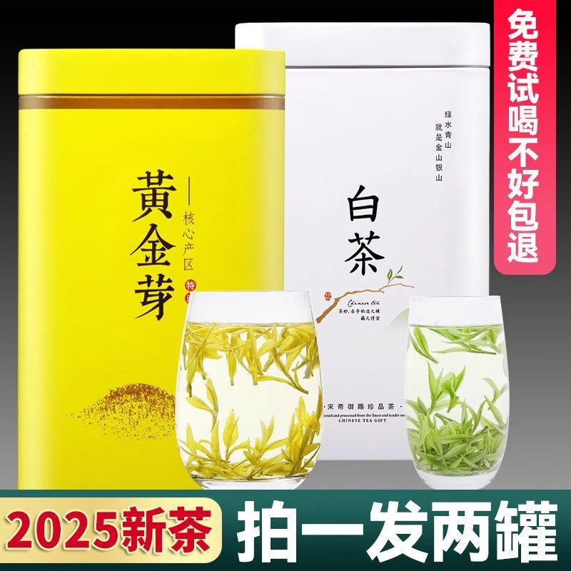 正宗白茶安吉茶树黄金芽茶叶2025年新茶明前珍稀高山绿茶礼盒罐装