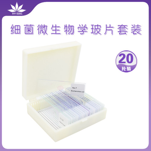 细菌微生物学套装高教标准