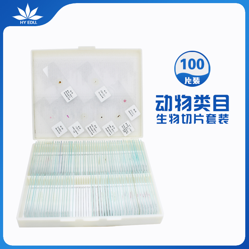 红叶教仪显微镜标本中英文标签生物切片动物类100种生物切片套装