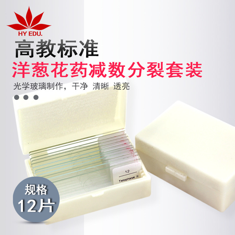 洋葱花药减数分裂切片显微镜生物玻片标本高教标准生物切片