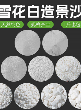 丙烯画画石英砂白沙寄居蟹乌龟沙白色细沙子儿童游乐场沙池玩耍沙