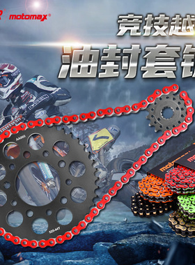 适用本田铁马VLX400/600沙都VT600流浪者VRX400大小飞链轮链条