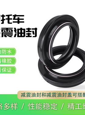 适用隆鑫TC250金轮XR125川崎EN500 ER5 GPZ500摩托车前叉减震油封