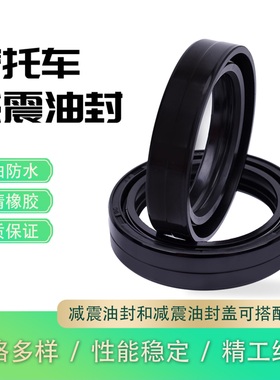 适用雅马哈TZR250铃木VS800GL本田XL350CBX100摩托车前叉减震油封