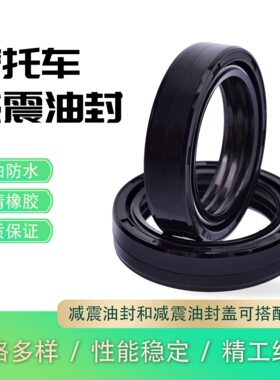 适用隆鑫TC250金轮XR125川崎EN500 ER5 GPZ500摩托车前叉减震油封