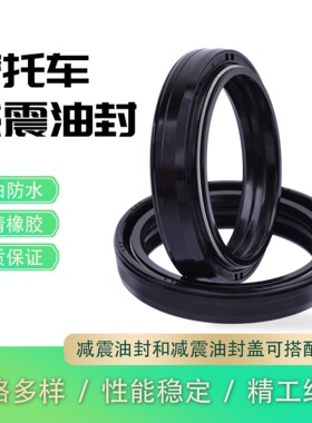 适用GPZ800川崎KX125/500 ZX750西班牙RX125前减震油封摩托车配件