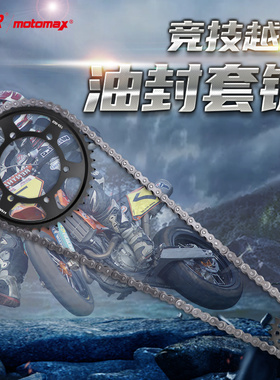 适用雅马哈R1链轮FZ1 B/S/E/YG摩托车链盘大小齿牙盘套链油封链条